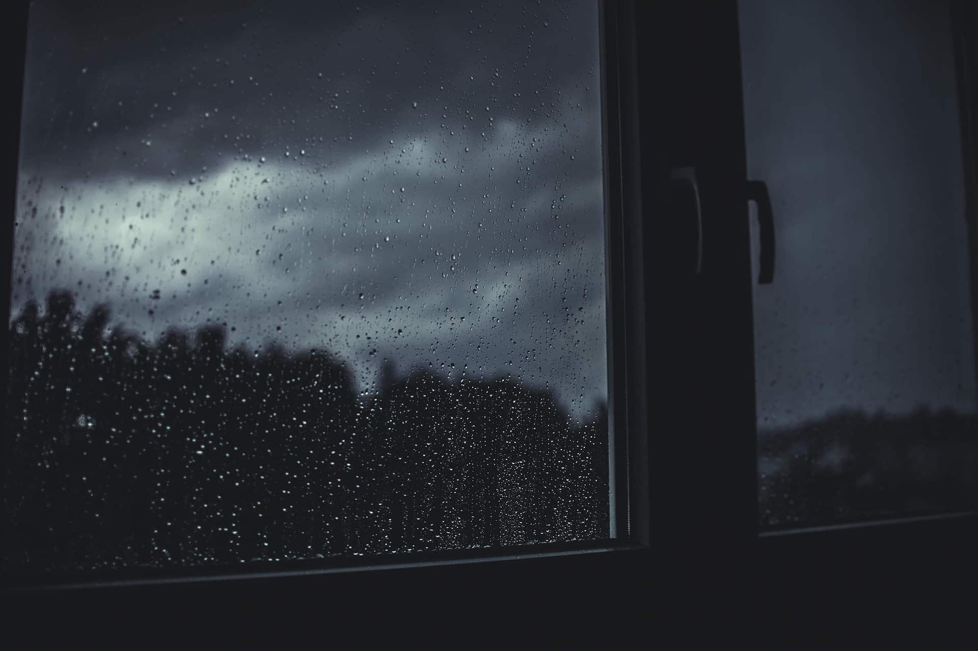 Pexels/Pixabay